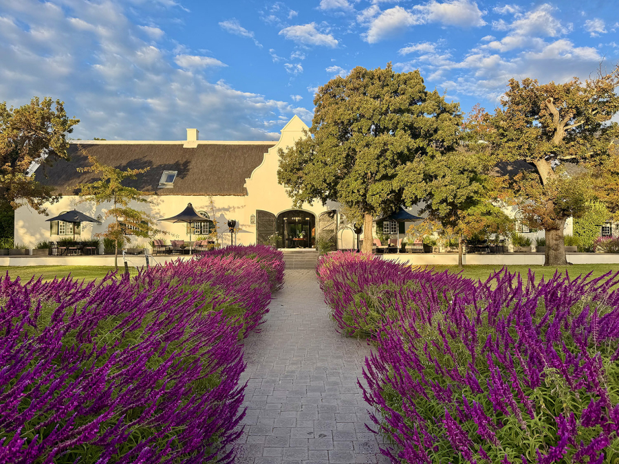 Steenberg Golf Club Hotel and Spa