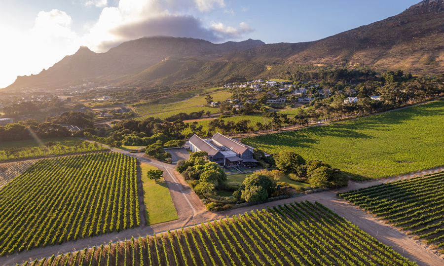 Steenberg Vinyards