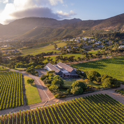 Steenberg Vinyards